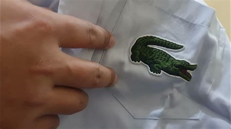 lacoste asli vs kancing.